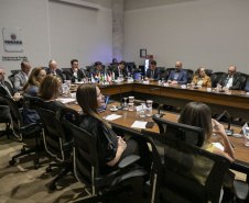 Curitiba, 23 de outubro de 2025 - Sessão plenária da Zicosul (por videoconferência).