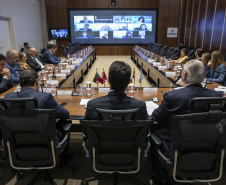 Curitiba, 23 de outubro de 2025 - Sessão plenária da Zicosul (por videoconferência).
