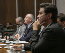 Curitiba, 23 de outubro de 2025 - Sessão plenária da Zicosul (por videoconferência).