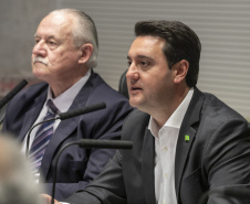 Curitiba, 23 de outubro de 2025 - Sessão plenária da Zicosul (por videoconferência).