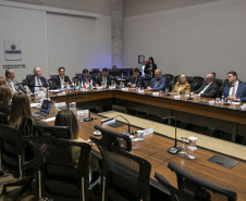 Curitiba, 23 de outubro de 2025 - Sessão plenária da Zicosul (por videoconferência).