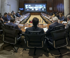 Curitiba, 23 de outubro de 2025 - Sessão plenária da Zicosul (por videoconferência).