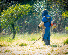 Mãos Amigas garante manutenção de escolas e trabalho a pessoas privadas de liberdade