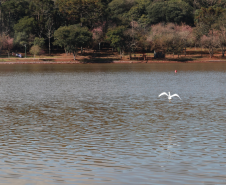 Instituto Água e Terra (IAT) emitiu a licença ambiental que autoriza o início da primeira fase da revitalização do Território Verde, em Cascavel, no Oeste do Paraná