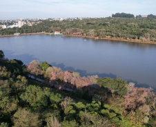 Instituto Água e Terra (IAT) emitiu a licença ambiental que autoriza o início da primeira fase da revitalização do Território Verde, em Cascavel, no Oeste do Paraná