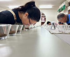IDR-Paraná abre inscrições para curso de classificação e degustação de café