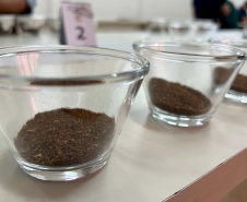 IDR-Paraná abre inscrições para curso de classificação e degustação de café