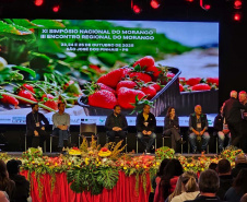 Paraná sedia Simpósio Nacional do Morango e lança Rota Turística do Morango Paranaense