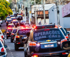 Homicídios dolosos caem mais de 30% nos primeiros oito meses do ano no estado