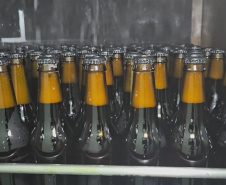 TV Paraná Turismo destaca a excelência da produção de vinhos e cervejas do Estado