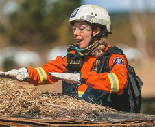Bombeira paranaense participa de curso de referência sobre prevenção e combate a incêndios florestais no Chile