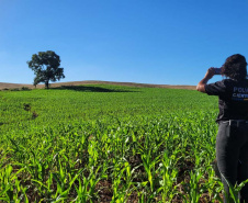 Provas periciais fortalecem investigações e ajudam Paraná a atingir alto índice de solução de homicídios
