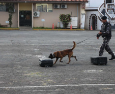 Inscrições para a 1ª Cãocorrida da Companhia com Cães da PMPR encerram nesta segunda (20)