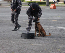 Inscrições para a 1ª Cãocorrida da Companhia com Cães da PMPR encerram nesta segunda (20)