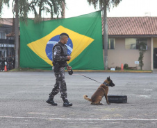 Inscrições para a 1ª Cãocorrida da Companhia com Cães da PMPR encerram nesta segunda (20)