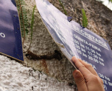 Abelhas sem ferrão transformam escolas do Paraná em laboratórios vivos de educação ambiental