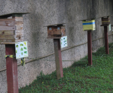 Abelhas sem ferrão transformam escolas do Paraná em laboratórios vivos de educação ambiental