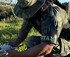 Batalhão Ambiental da PMPR inova e usa satélite e drones para fiscalizar crimes ambientais no Paraná