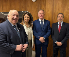 Paraná representa Bioma Mata Atlântica em reunião preparatória da COP30 em Brasília