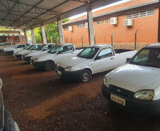 Visitas começam amanhã: Governo do Paraná promove último leilão de veículos oficiais de 2025