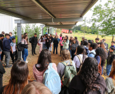 Rio Bonito do Iguaçu - Volta Aulas
