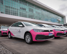 II Encontro Estadual de Gestores de Políticas do Cuidado, no Palácio Iguaçu.