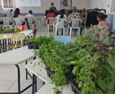 Em Castro, Sanepar ensina cultivo e uso de plantas medicinais e alimentícias não-convencionais