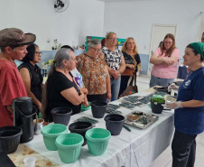 Em Castro, Sanepar ensina cultivo e uso de plantas medicinais e alimentícias não-convencionais