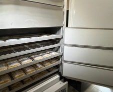 SESA - Paraná recebe equipamentos para fortalecer Hemorrede e produção de hemoderivados