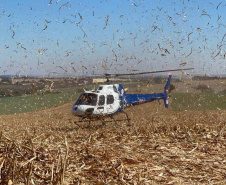 Referência nacional: serviço aeromédico do Paraná realiza média de 10 atendimentos por dia
