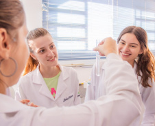 Paraná incentiva o fomento à pesquisa com bolsas que cobrem toda a trajetória acadêmica e profissional