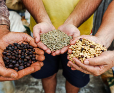 Prêmio Café Qualidade Paraná reconhece melhores produtores do Estado