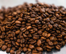 Prêmio Café Qualidade Paraná reconhece melhores produtores do Estado