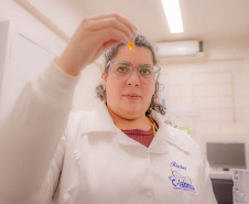 Paraná incentiva o fomento à pesquisa com bolsas que cobrem toda a trajetória acadêmica e profissional