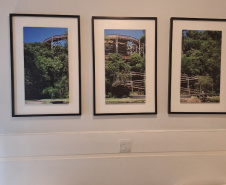  Hotéis curitibanos tiveram recorde de hóspedes em outubro e já se preparam para o Natal