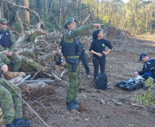 PCPR prende homem por desmatar 106 hectares de floresta em Rio Azul