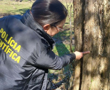 PCPR prende homem por desmatar 106 hectares de floresta em Rio Azul
