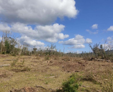 PCPR prende homem por desmatar 106 hectares de floresta em Rio Azul