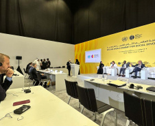 Governo apresenta avanços do desenvolvimento social do Paraná em Cúpula da ONU em Doha, no Catar