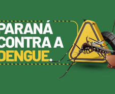 Paraná tem redução de casos e mortes por dengue maior que a média nacional