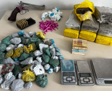 PCPR e PMPR prendem sete pessoas em operação contra o tráfico de drogas em Palmeira