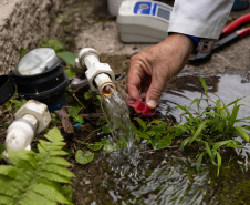 Água de caixa-d’água sem limpeza e sem uso no litoral apresenta contaminação por bactérias em análise laboratorial feita pela Sanepar