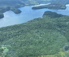 Estação Ecológica Estadual Reserva de Bituruna, em Bituruna, no Sul do Estado, conta com uma área de 280 hectares.