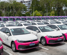 II Encontro Estadual de Gestores de Políticas do Cuidado, no Palácio Iguaçu.