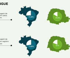 Paraná tem redução de casos e mortes por dengue maior que a média nacional