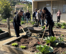 Hortas nutrem novos saberes e escolhas saudáveis nas escolas da rede pública do Paraná