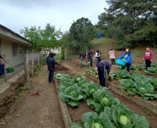Hortas nutrem novos saberes e escolhas saudáveis nas escolas da rede pública do Paraná