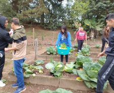 Hortas nutrem novos saberes e escolhas saudáveis nas escolas da rede pública do Paraná