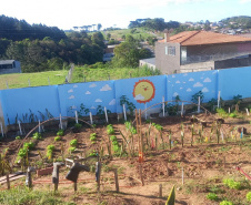 Hortas nutrem novos saberes e escolhas saudáveis nas escolas da rede pública do Paraná