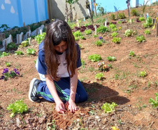 Hortas nutrem novos saberes e escolhas saudáveis nas escolas da rede pública do Paraná
